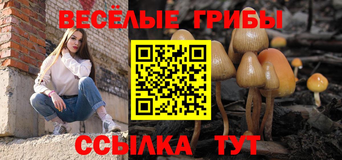 Галлюциногенные грибы MAGIC MUSHROOMS Острогожск